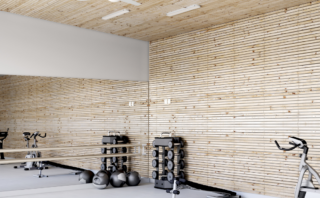 gym